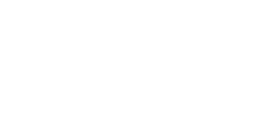 Ryzer